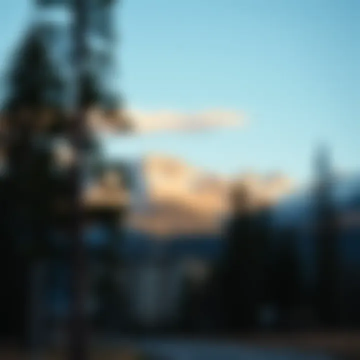 Scenic view of Jasper National Park with towering pine trees and majestic mountains under a clear sky