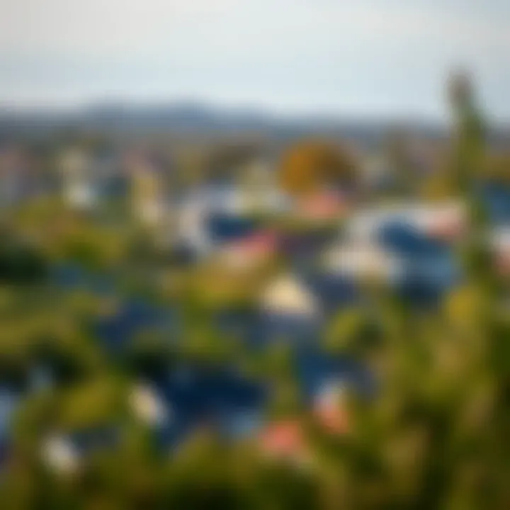Scenic view of residential homes and greenery in Casino NSW, showcasing the local neighborhood